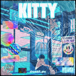Kitty lofi Drum Kit